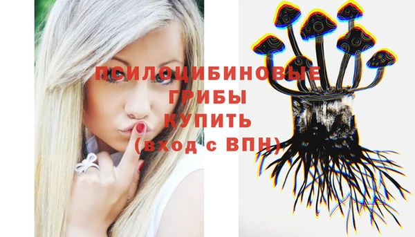 mdpv Ростов