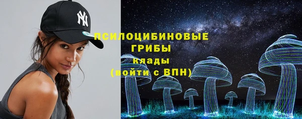 apvp Россошь