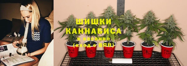 apvp Россошь