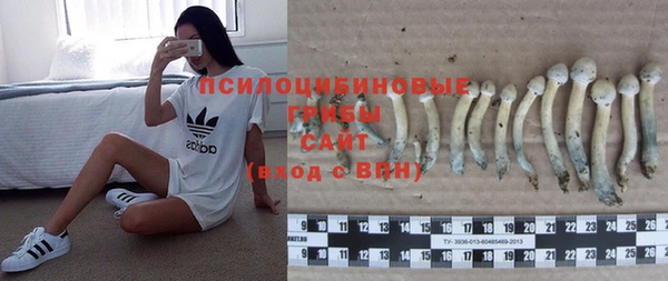 mdpv Ростов
