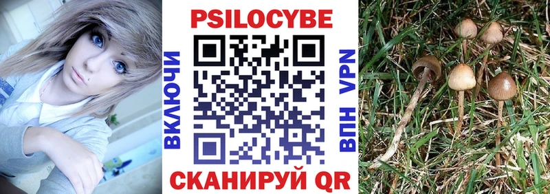 Галлюциногенные грибы GOLDEN TEACHER  Белово 