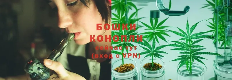 blacksprut как войти  Белово  Конопля SATIVA & INDICA 